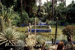 Image du Maroc Professionnelle de  Le Jardin Majorelle une pure merveille crée par le peintre français Jacques Majorelle, qui a eu le coup de foudre pour Marrakech. Yves Saint Laurent et Pierre Bergé font l’acquisition de ce havre de paix durant les années quatre-vingt où Yves Saint Laurent dessina plusieurs pièces. son voeux était de faire de ce parc une œuvre d’art vivante. On y découvre des plantes provenant des cinq continents, yuccas d’Océanie, lotus d’Asie, cactus d’Amérique, palmiers d’Afrique et cyprès d’Europe …, à Marrakech le Lundi 18 Août 1997. ((Photo / Abdeljalil Bounhar) 